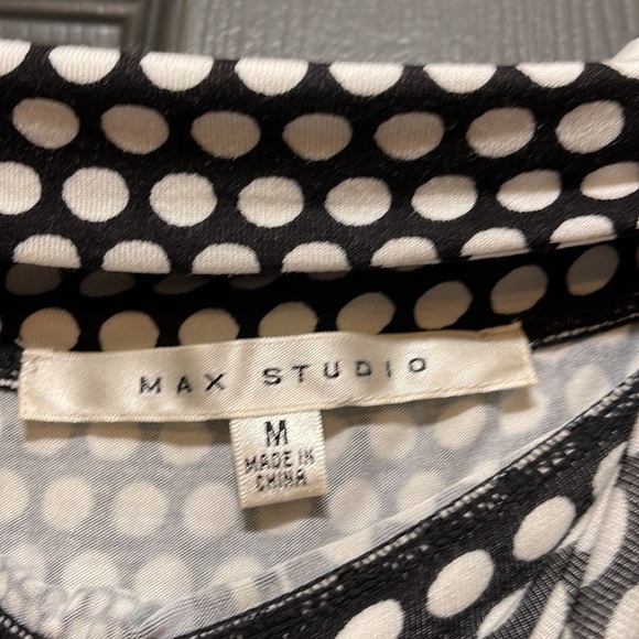 Max Studio Maxi Skirt - Picture 4 of 4